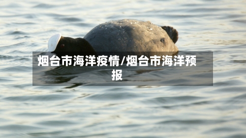 烟台市海洋疫情/烟台市海洋预报