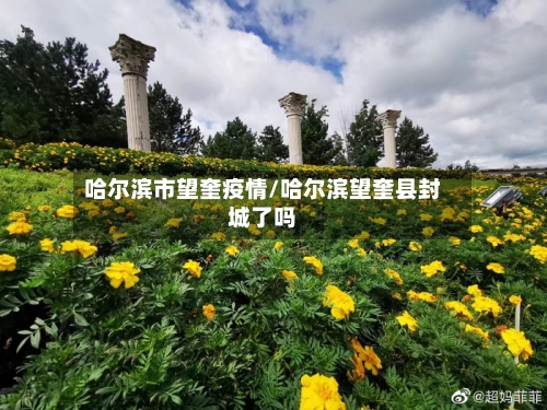 哈尔滨市望奎疫情/哈尔滨望奎县封城了吗-第3张图片