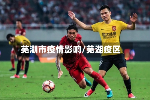 芜湖市疫情影响/芜湖疫区