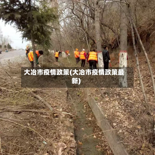 大冶市疫情政策(大冶市疫情政策最新)-第2张图片
