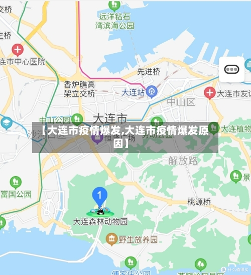 【大连市疫情爆发,大连市疫情爆发原因】-第2张图片