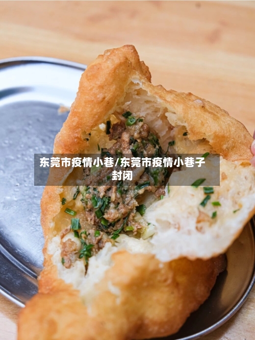 东莞市疫情小巷/东莞市疫情小巷子封闭-第3张图片