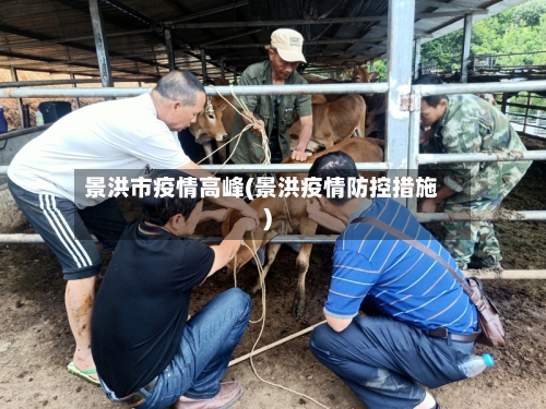 景洪市疫情高峰(景洪疫情防控措施)-第3张图片