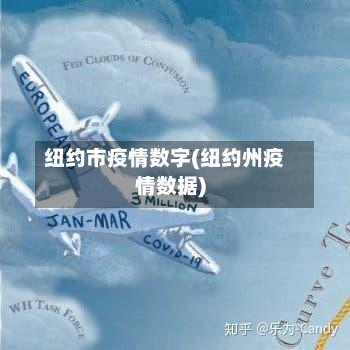 纽约市疫情数字(纽约州疫情数据)