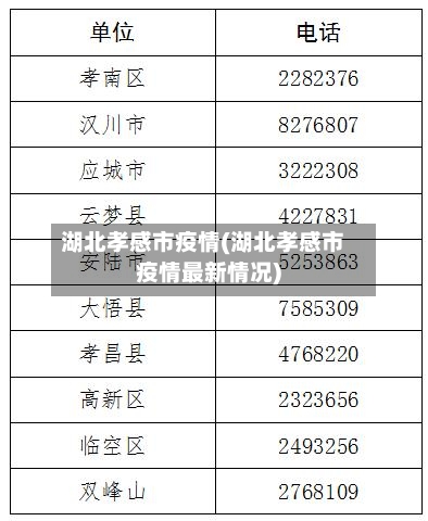 湖北孝感市疫情(湖北孝感市疫情最新情况)