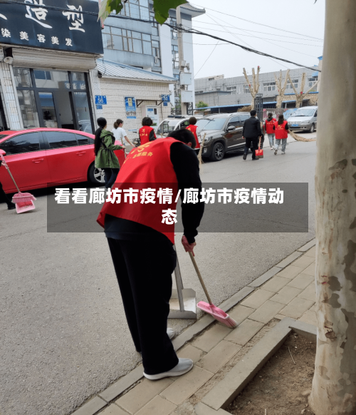 看看廊坊市疫情/廊坊市疫情动态