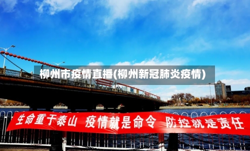 柳州市疫情直播(柳州新冠肺炎疫情)-第2张图片