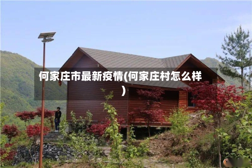 何家庄市最新疫情(何家庄村怎么样)-第3张图片