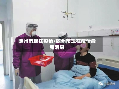 随州市现在疫情/随州市现在疫情最新消息-第2张图片