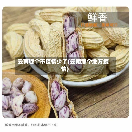 云南哪个市疫情少了(云南那个地方疫情)