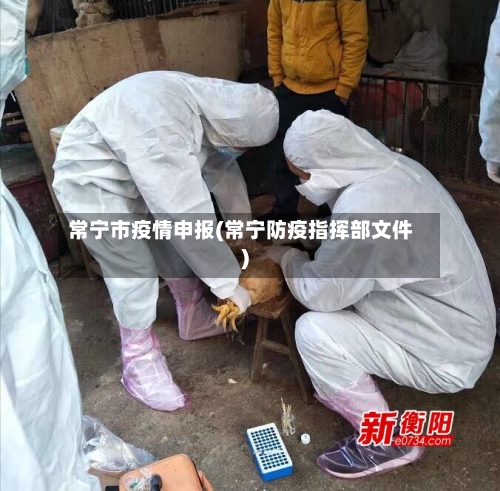常宁市疫情申报(常宁防疫指挥部文件)-第2张图片