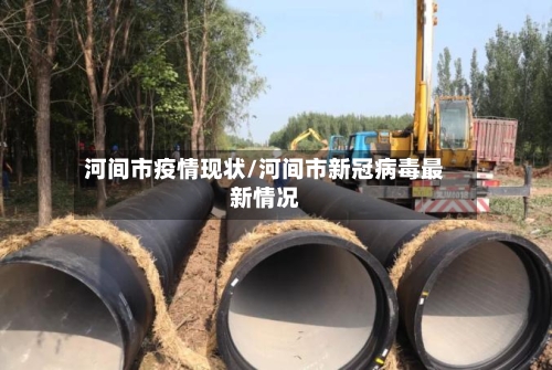 河间市疫情现状/河间市新冠病毒最新情况-第2张图片