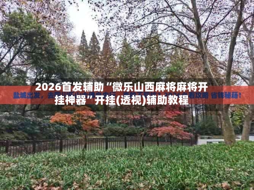 2026首发辅助“微乐山西麻将麻将开挂神器	”开挂(透视)辅助教程-第2张图片