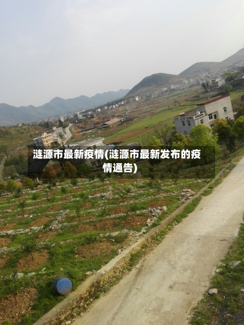 涟源市最新疫情(涟源市最新发布的疫情通告)