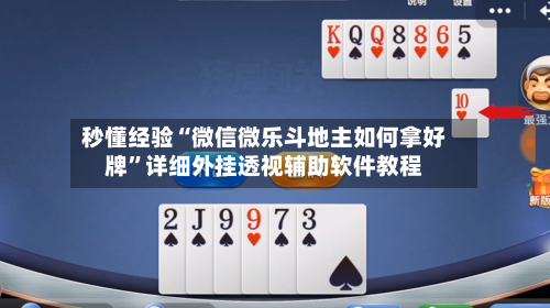 秒懂经验“微信微乐斗地主如何拿好牌”详细外挂透视辅助软件教程-第2张图片
