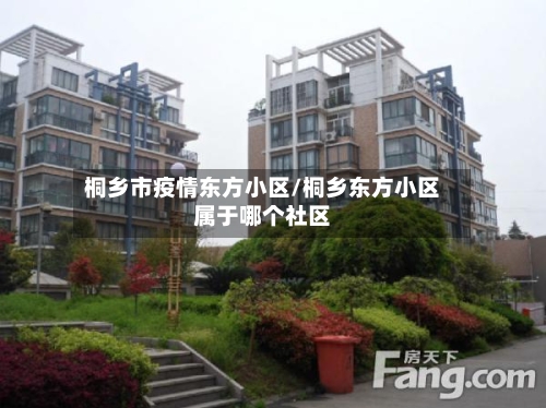 桐乡市疫情东方小区/桐乡东方小区属于哪个社区-第3张图片