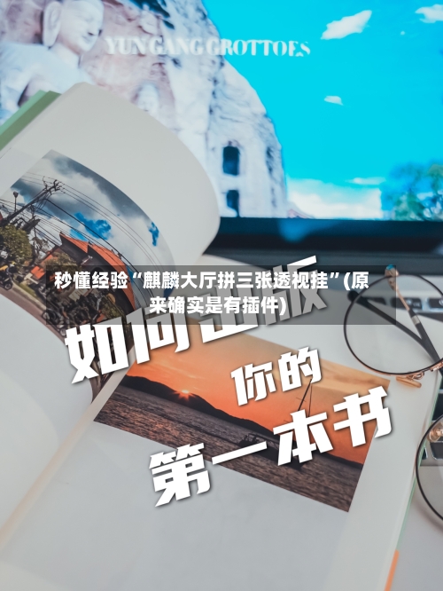 秒懂经验“麒麟大厅拼三张透视挂	”(原来确实是有插件)-第2张图片