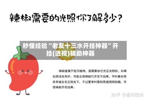 秒懂经验“老友十三水开挂神器”开挂(透视)辅助神器-第2张图片