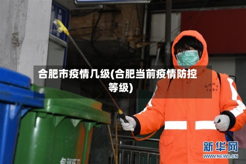 合肥市疫情几级(合肥当前疫情防控等级)-第2张图片
