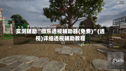 实测辅助“微乐透视辅助器(免费)”(透视)详细透视辅助教程-第3张图片