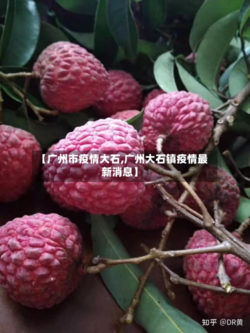 【广州市疫情大石,广州大石镇疫情最新消息】-第3张图片