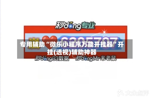 专用辅助“微乐小程序万能开挂器”开挂(透视)辅助神器-第2张图片