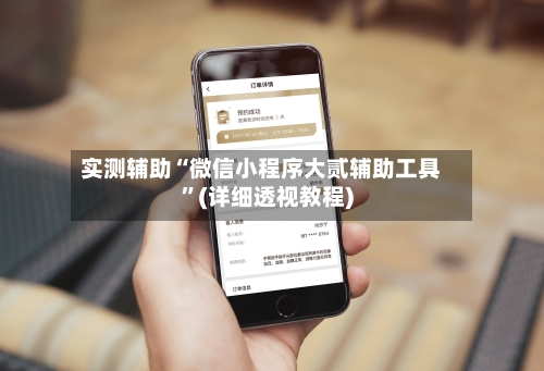 实测辅助“微信小程序大贰辅助工具”(详细透视教程)-第3张图片