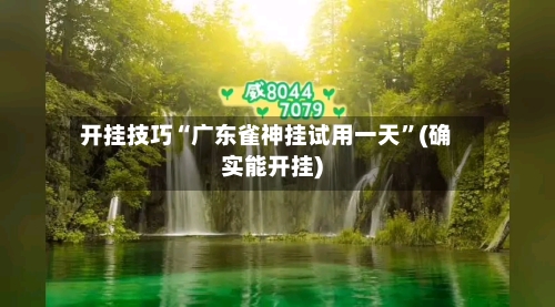 开挂技巧“广东雀神挂试用一天	”(确实能开挂)-第2张图片