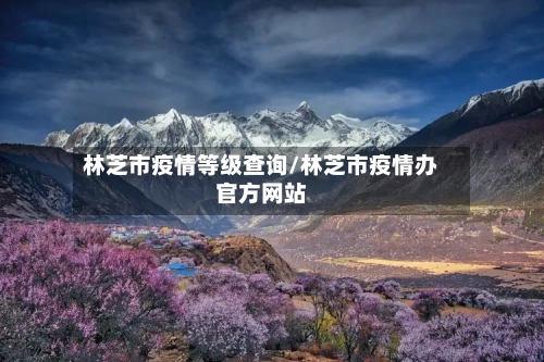 林芝市疫情等级查询/林芝市疫情办官方网站-第2张图片