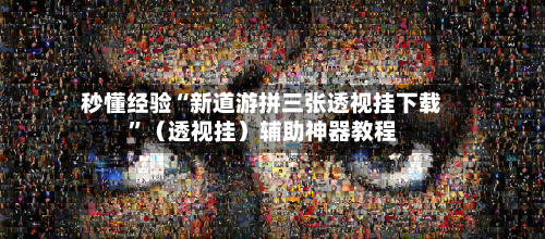 秒懂经验“新道游拼三张透视挂下载”（透视挂）辅助神器教程-第2张图片