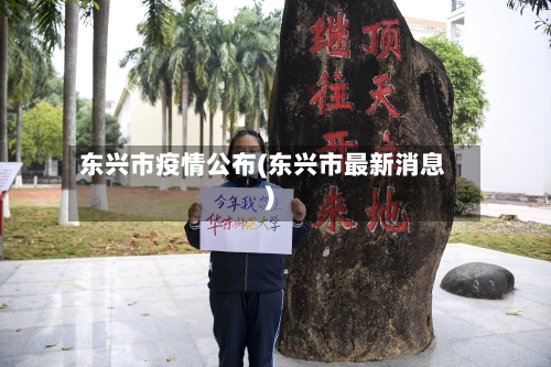 东兴市疫情公布(东兴市最新消息)-第3张图片