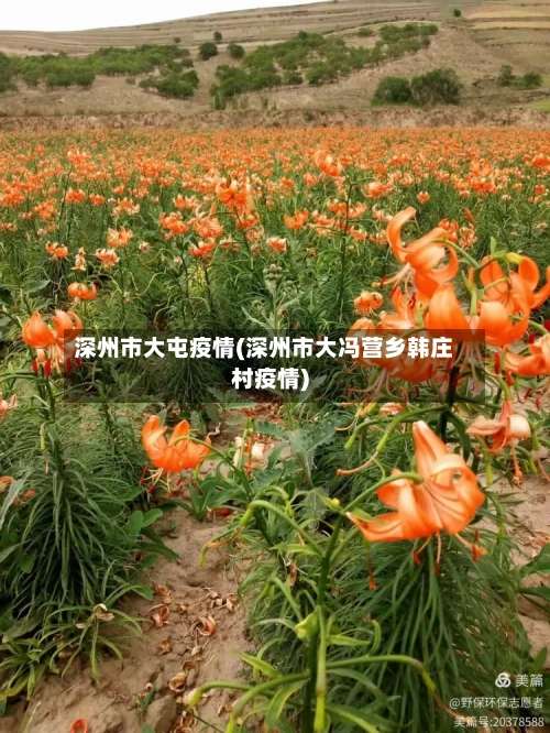 深州市大屯疫情(深州市大冯营乡韩庄村疫情)-第3张图片