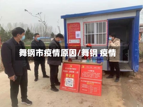 舞钢市疫情原因/舞钢 疫情