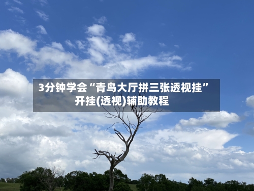 3分钟学会“青鸟大厅拼三张透视挂”开挂(透视)辅助教程-第2张图片