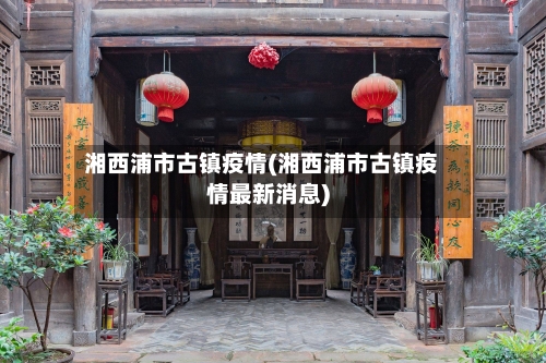 湘西浦市古镇疫情(湘西浦市古镇疫情最新消息)-第2张图片