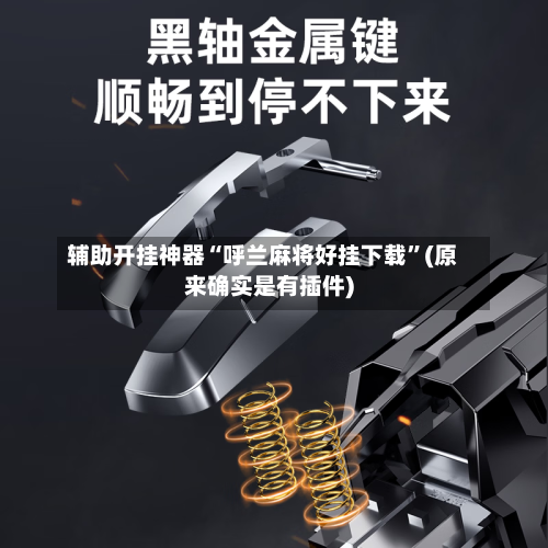 辅助开挂神器“呼兰麻将好挂下载	”(原来确实是有插件)-第3张图片