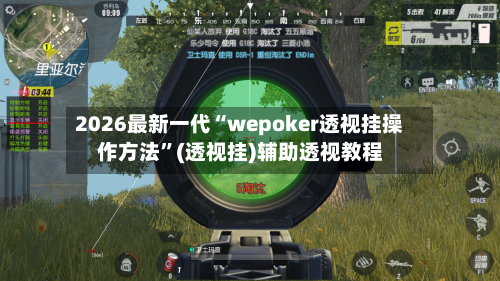 2026最新一代“wepoker透视挂操作方法”(透视挂)辅助透视教程-第3张图片