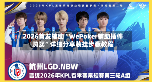2026首发辅助“WePoker辅助插件购买”详细分享装挂步骤教程-第2张图片