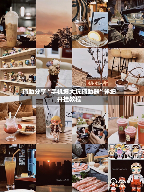 辅助分享“手机填大坑辅助器”详细开挂教程-第3张图片