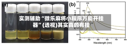 实测辅助“微乐麻将小程序万能开挂器”(透视)其实真的有挂-第2张图片
