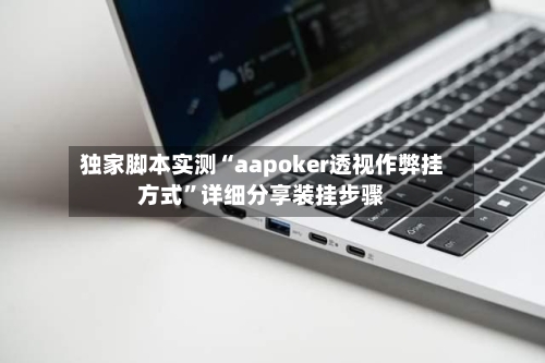 独家脚本实测“aapoker透视作弊挂方式”详细分享装挂步骤-第2张图片