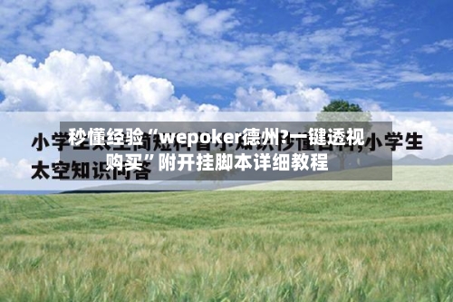 秒懂经验“wepoker德州?一键透视购买	”附开挂脚本详细教程-第2张图片