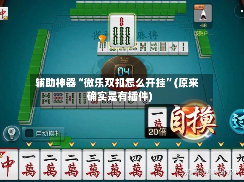 辅助神器“微乐双扣怎么开挂”(原来确实是有插件)-第3张图片