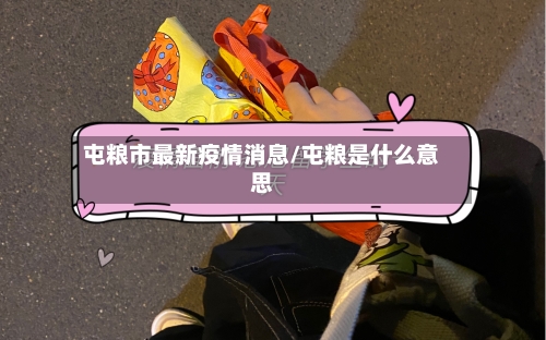 屯粮市最新疫情消息/屯粮是什么意思-第3张图片