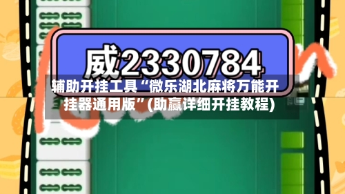 辅助开挂工具“微乐湖北麻将万能开挂器通用版”(助赢详细开挂教程)-第3张图片