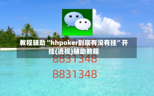教程辅助“hhpoker到底有没有挂	”开挂(透视)辅助教程-第2张图片