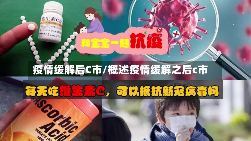 疫情缓解后C市/概述疫情缓解之后c市