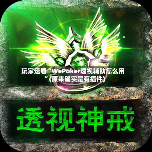 玩家速看“WePoker透视辅助怎么用”(原来确实是有插件)