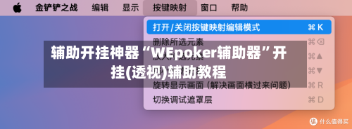 辅助开挂神器“WEpoker辅助器”开挂(透视)辅助教程-第2张图片