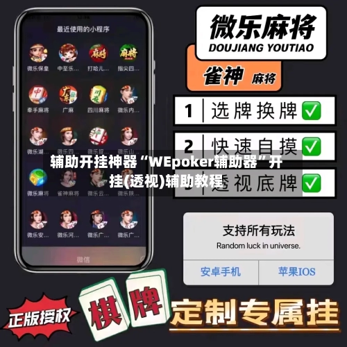 辅助开挂神器“WEpoker辅助器”开挂(透视)辅助教程-第3张图片